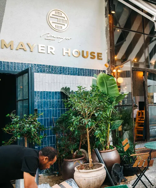 קפה מאייר פרוייקט אלון אביב